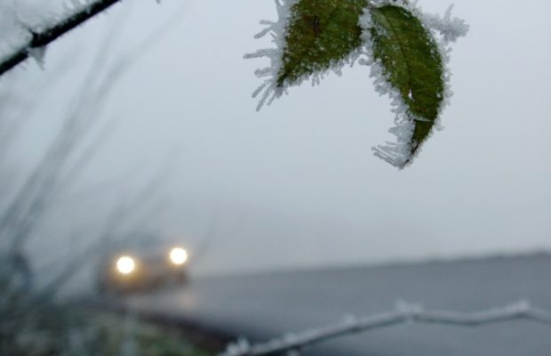 UPDATED: Charleston-Area School Closures for Tues., Jan. 9