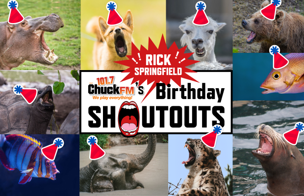 Wish Rick a Happy 70th Birthday w the Rick Springfield Playlist