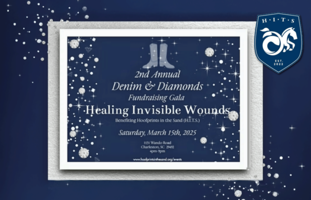 Tickets on Sale: 2nd Annual Denim & Diamonds Gala – 3/15