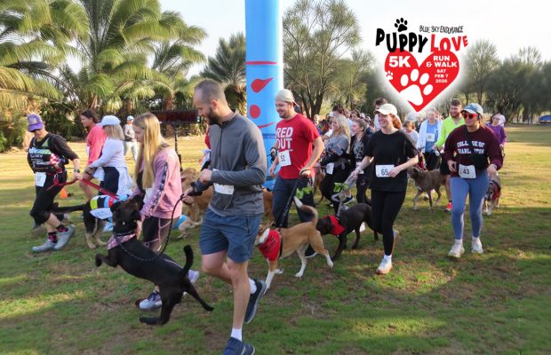 Feb 7: Join the Four-Legged Fun Run – Puppy Love 5K