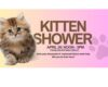 4/26 - Charleston Animal Society's 'Kitten Shower' Event
