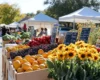 Lowcountry Farmers Markets Are Now Open: Here's Where To Go