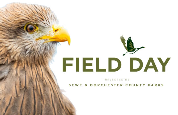 Experience the First Ever SEWE Field Day